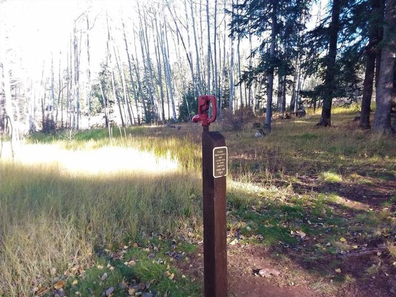 Grayling Campground, one of various water sources