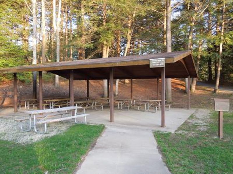 Shelter site 001, 10 tables- 75 to 100 person capacity, 2 large grills, electricity