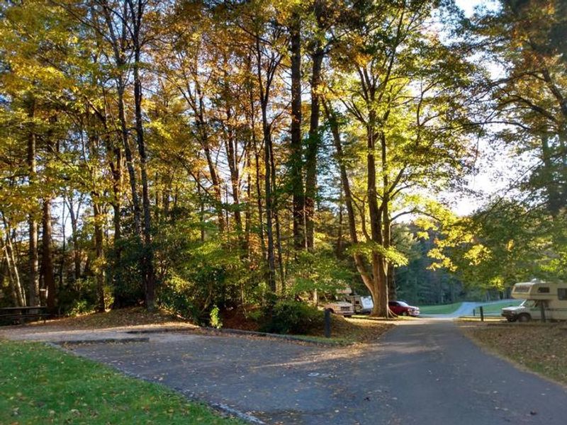 A section of B Loop - reservable site 56 on left.