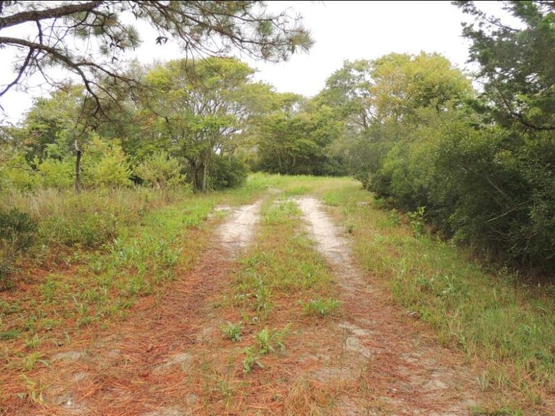 Pope Bay Access Road