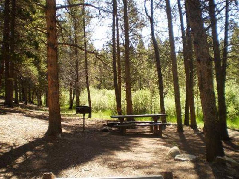 Silver Dollar Campground site 2