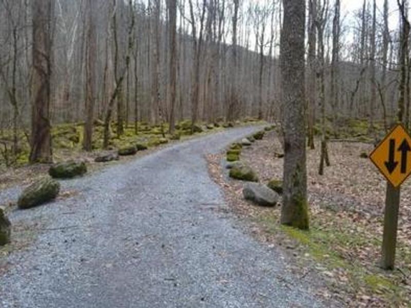 Narrow, unpaved road to reach campground