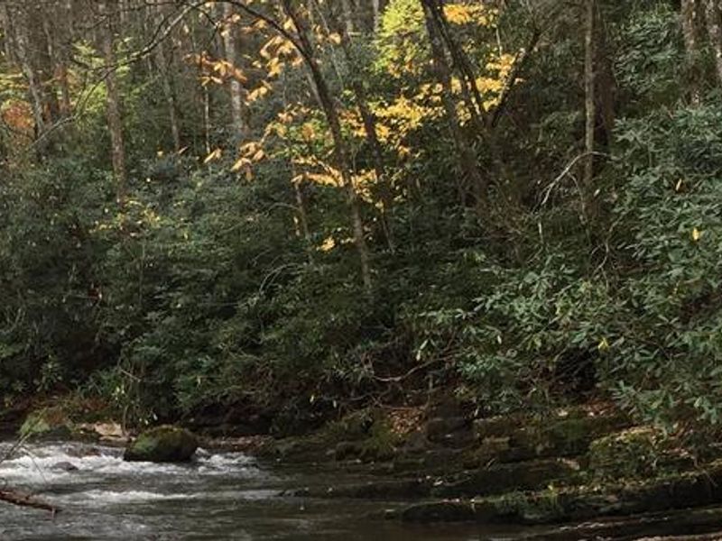 Beaverdam Creek at Backbone Rock Campground