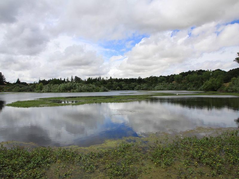 On your walk to the campground, stop and enjoy the view at the Horseshoe Road Pond. An excellent location for bird watching and fishing!