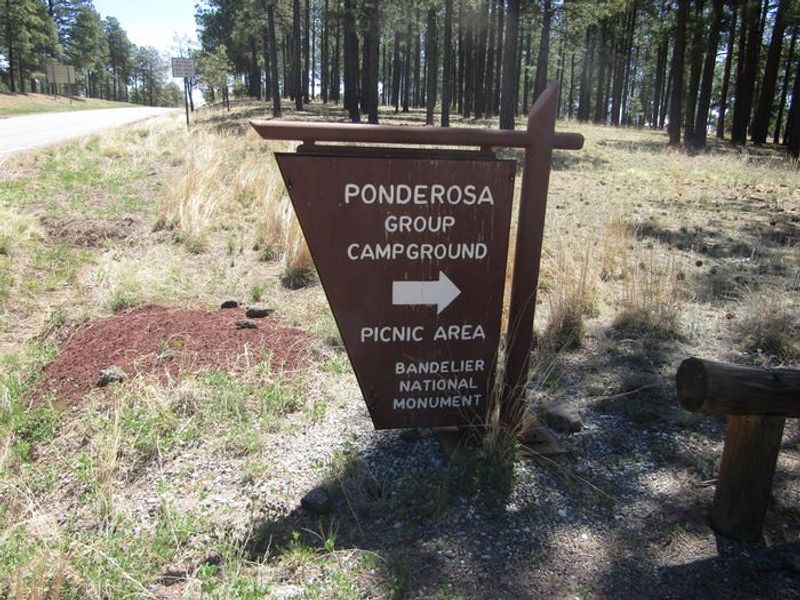 Ponderosa Group Campground is home to two group campsites that can accommodate 10-50 campers each and can be reserved. 