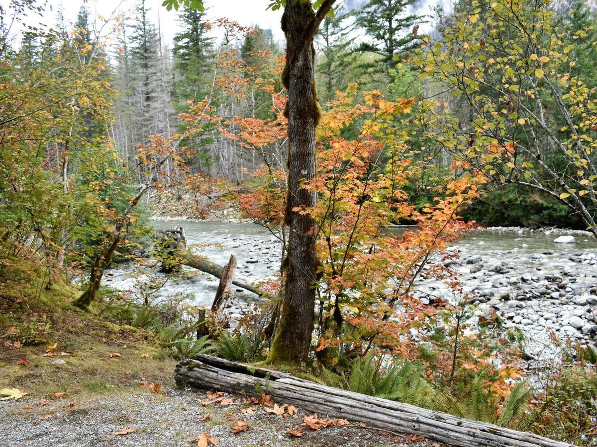Lower Goodell Group Campground