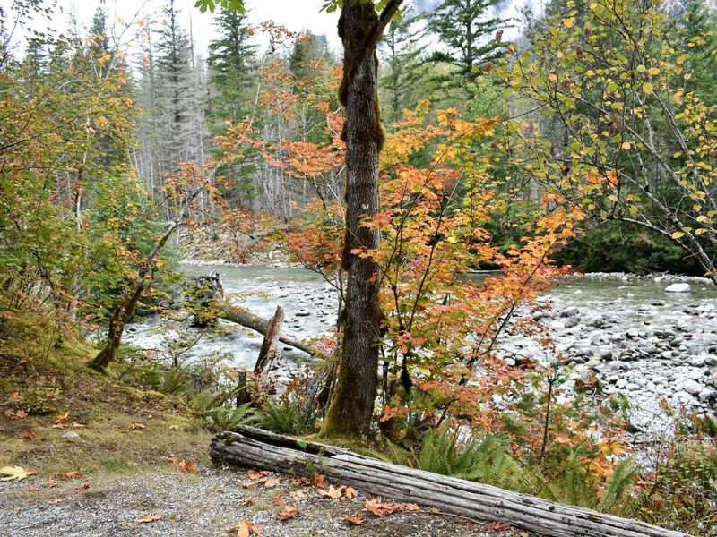 View of Newhalem Creek from Group Site B
