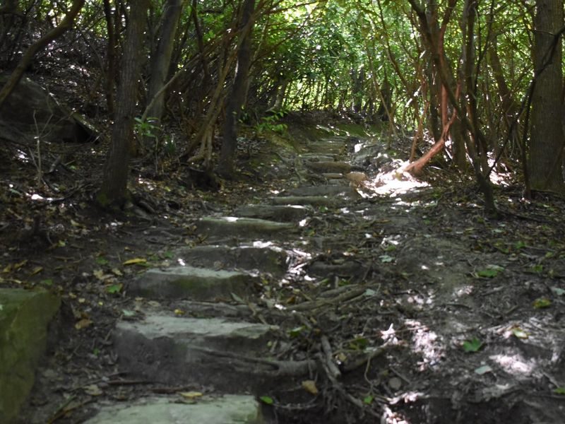 Along the Trail to Johns River Road Backcountry Camping