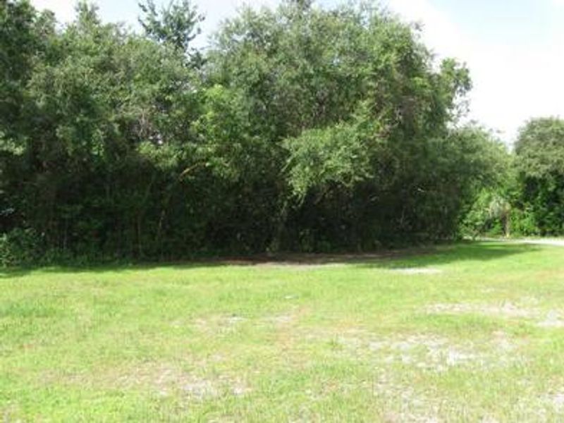 Shady trees at Pinecrest