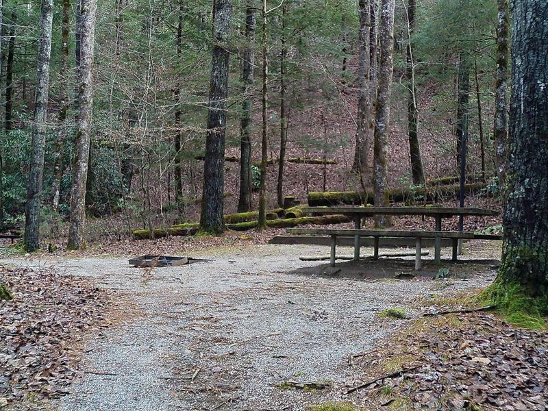 Tate Branch Campsite #15