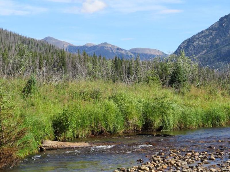 Beautiful Timber Creek Flows Near the Campground 