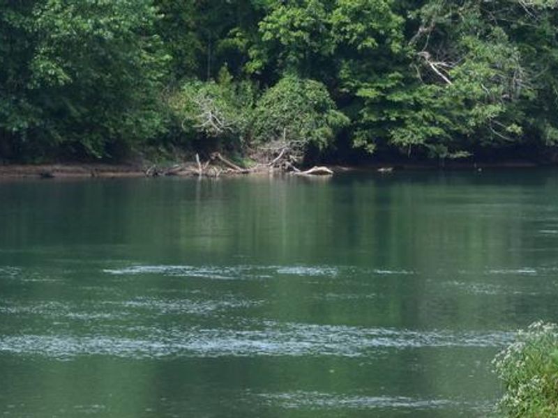 View of Current River from Float Camp Picnic Area