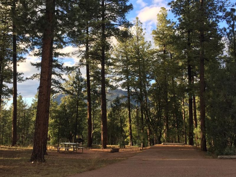 Sharp Creek Campground surrounded by the Tonto National Forest