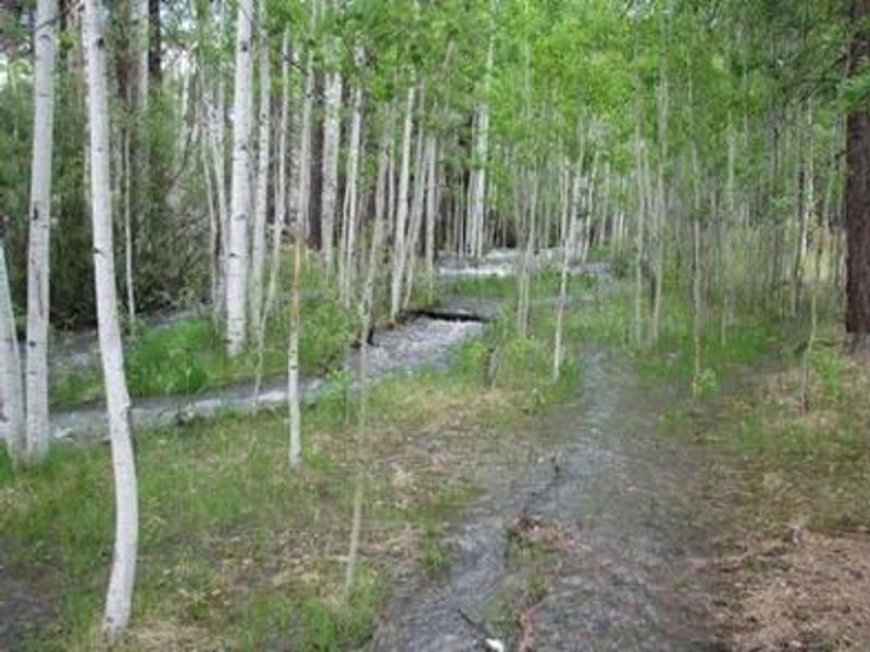 Benny Creek Group Area