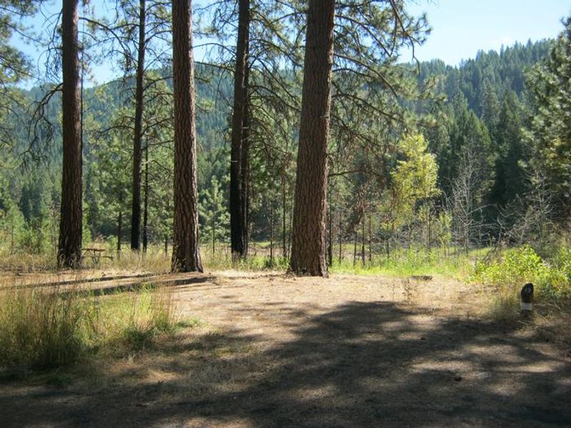 Marcus Island Campground. Trees and hill in the background.