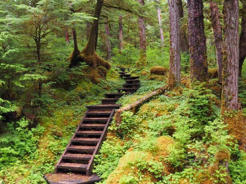 Outside of Frosty Bay cabin