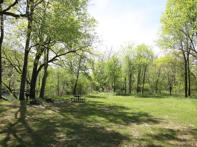 Big Tree Campground offers dappled shade, with a mix of trees and open space.