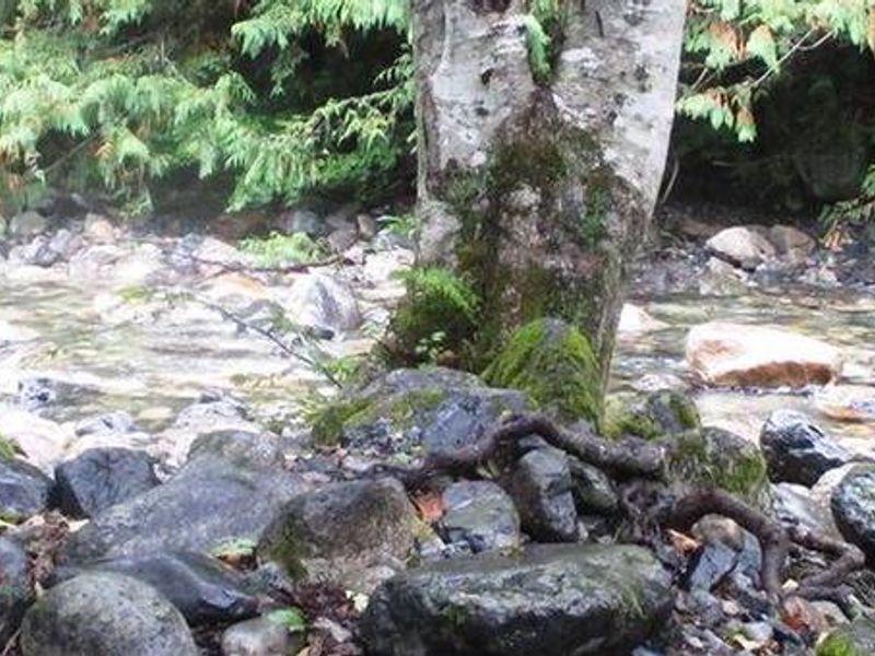 Denny Creek Campground