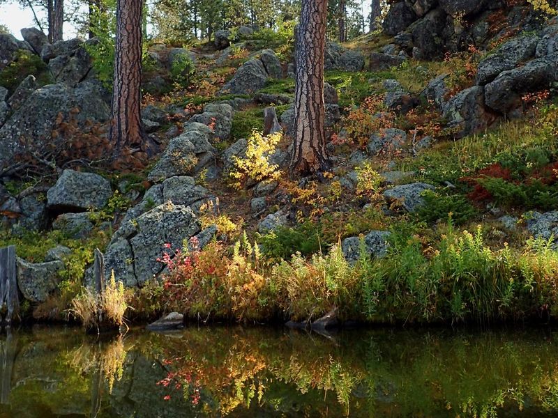 Fall colors around the lake