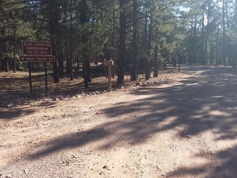 Black Canyon Rim Campground
