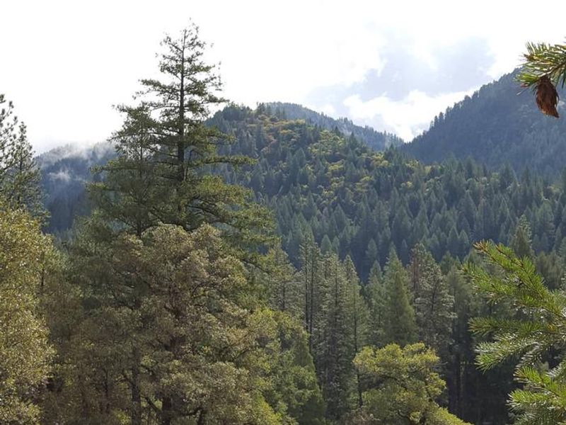 North Fork Yuba River Canyon