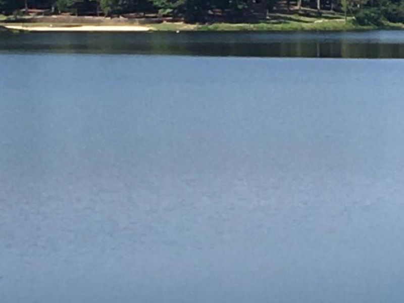 South end of Chewalla Lake and a view of the beach.