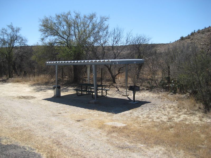Spur 406 Campground, Standard Campsite 4
