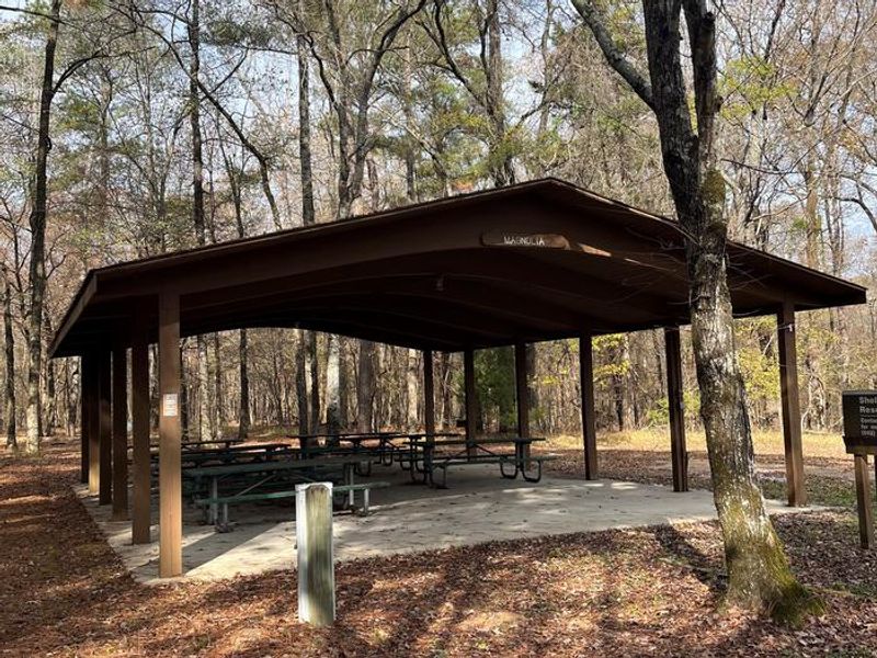 Waverly Day Use is a quiet picnic area in the woods where families can enjoy a sunny day.