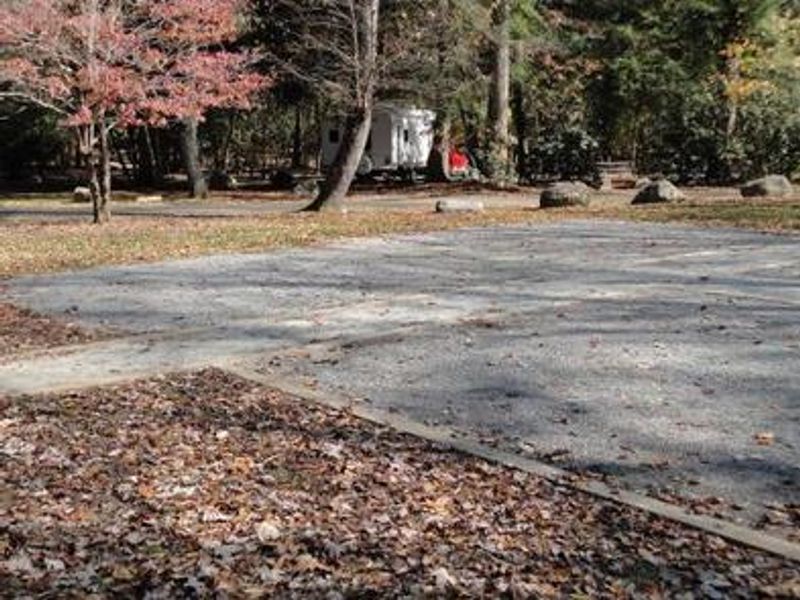 A photo of the handicap accessible group site 