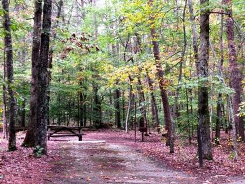 Campsite in Oak Ridge Campground in fall