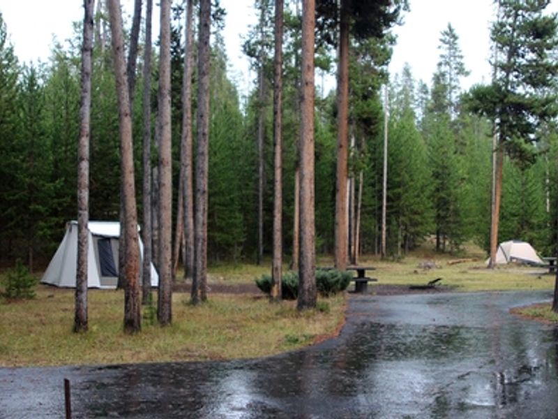 Madison Campground is set in a partially woody area.