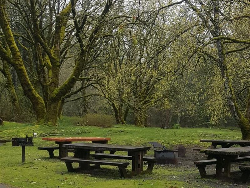 Wyeth campground Group Site #3