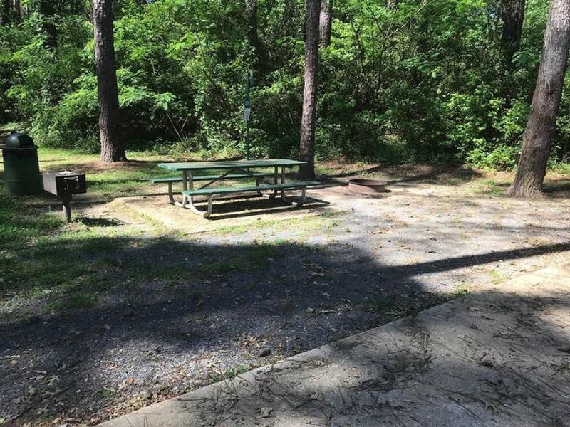 Shaded Class A Campsite #10. RV pad, water, and 20/30/50 AMP electric hook-ups as well as basic campsite amenities including a picnic table, lantern post, fire ring, trash can and grill.