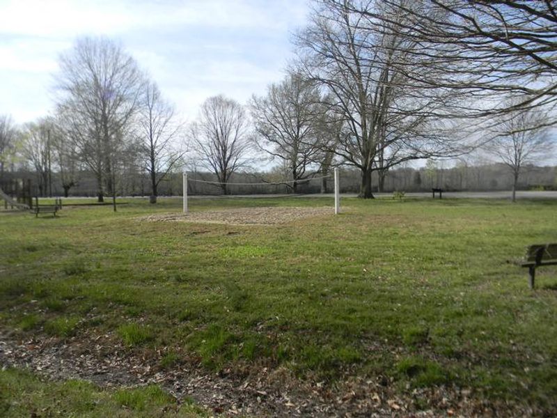 Volleyball Court