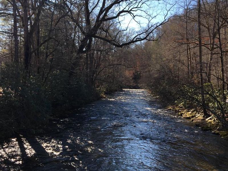Looking out at Deep Creek near the group campsites 