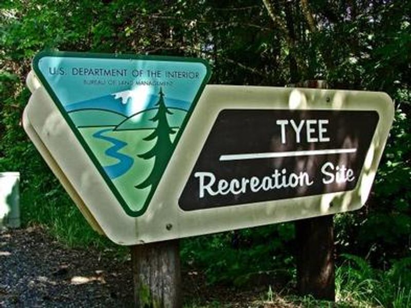 View of Tyee Recreation Site sign.
