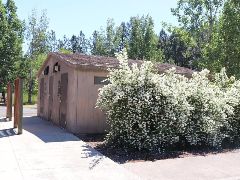 The flush toilets are located near the main kiosk at Pink House Recreation Site. 