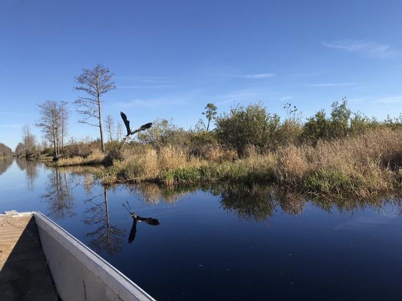 Bird flying over water reflecting blue sky