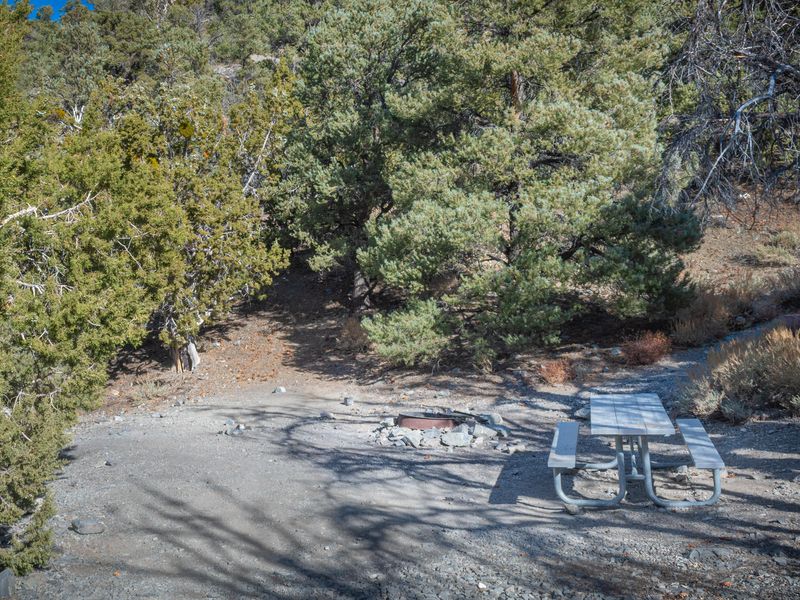 Most sites include space for tent, fire ring, and metal picnic table.