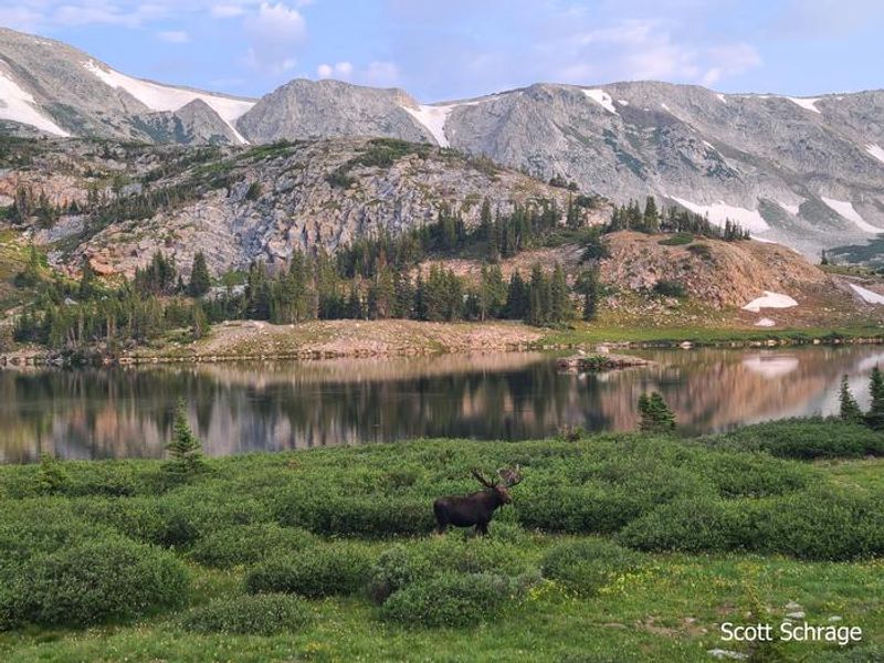 Moose and Libby Lake