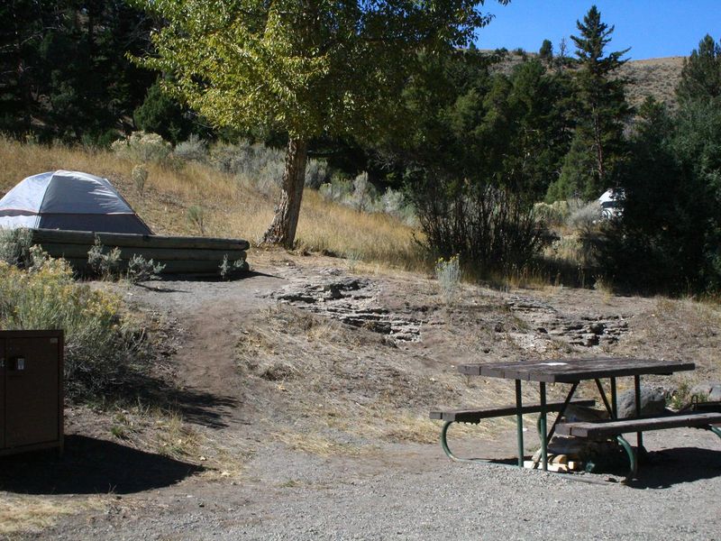 Mammoth Campsite #82