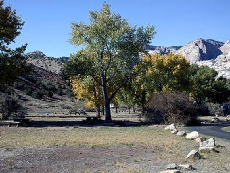 Group site at Split Mountain Campground.