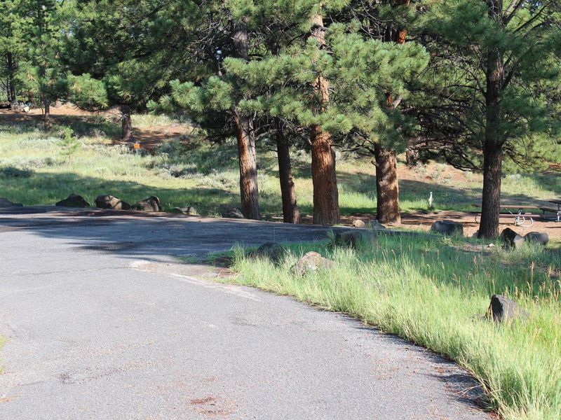 Evergreen Group Site