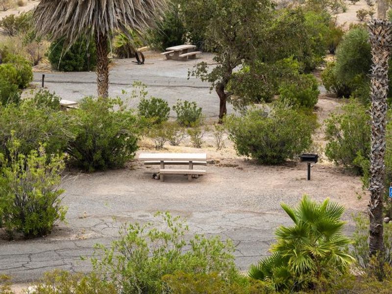 Echo Bay Campground Site 