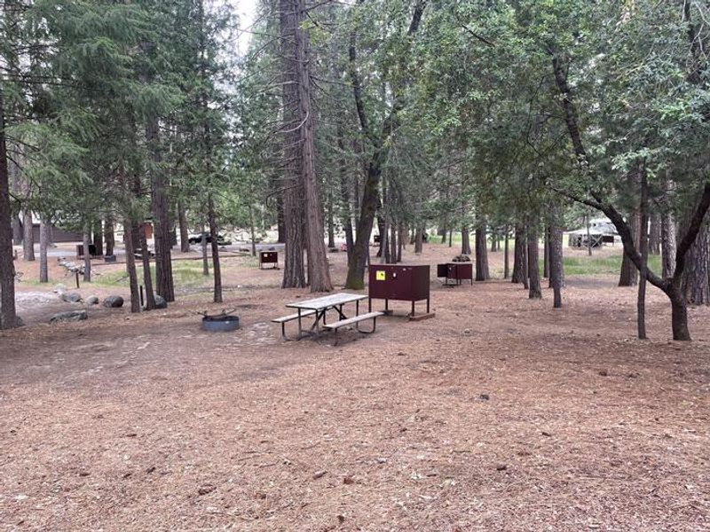 Campsite in C-loop fire ring, table and food locker.