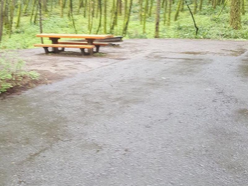 Wyeth campground Site #12