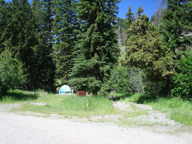 Slough Creek Campground Site #11