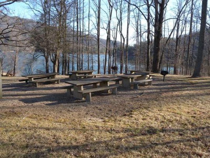 Watauga Point Picnic Tables