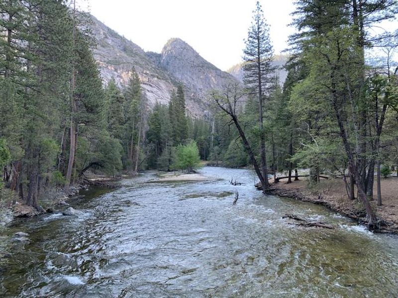 Merced River east from Clark's Bridge near Upper Pines