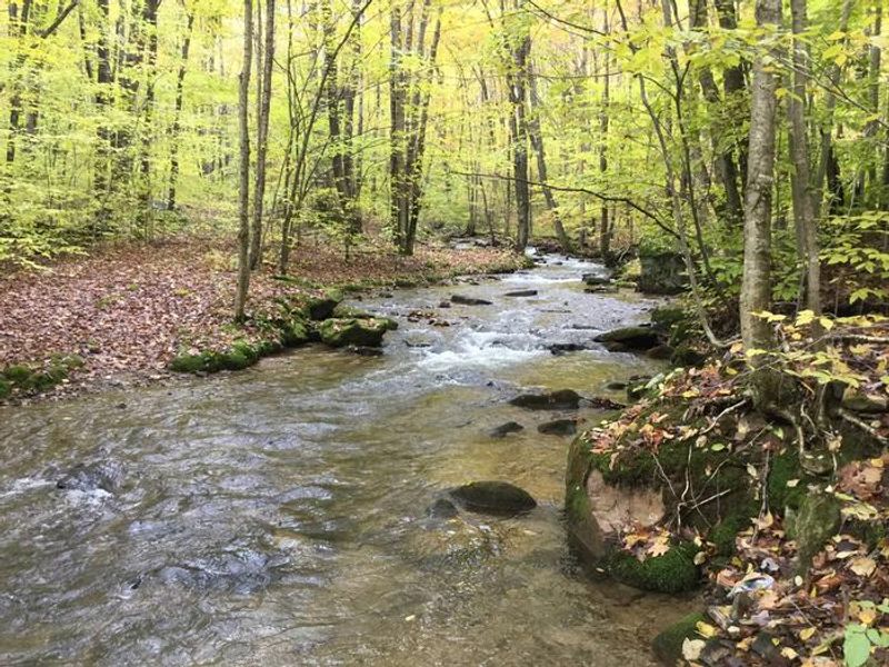 Dewdrop Recreation Area- Dewdrop Run